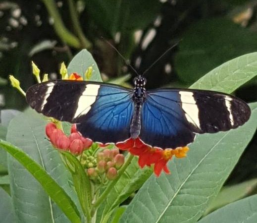 Entwurf_Website_Rebalance-034